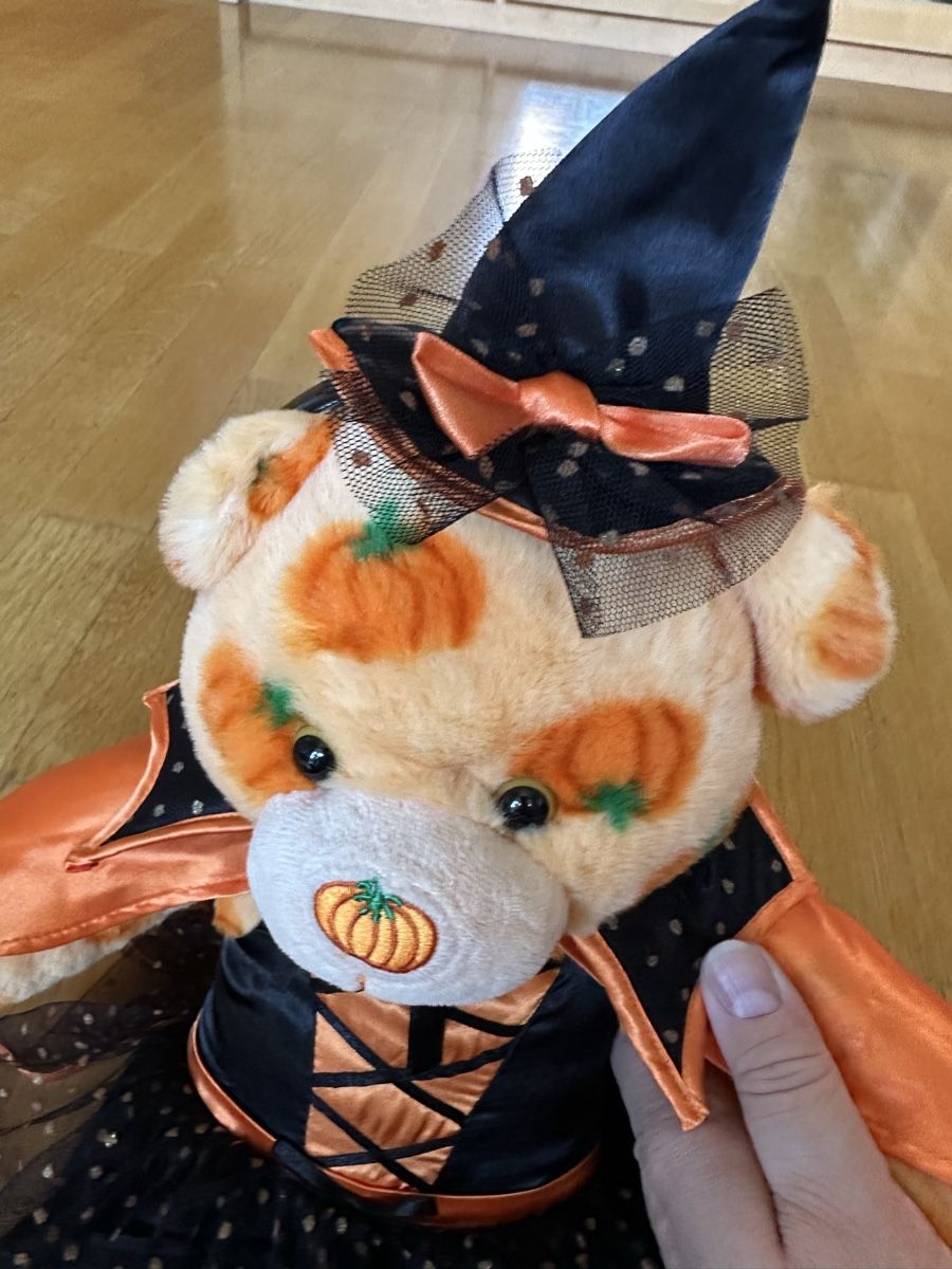 Giocattoli: Teddy Halloween selten top – Usato da Bern venduto da Ruhrallee 3