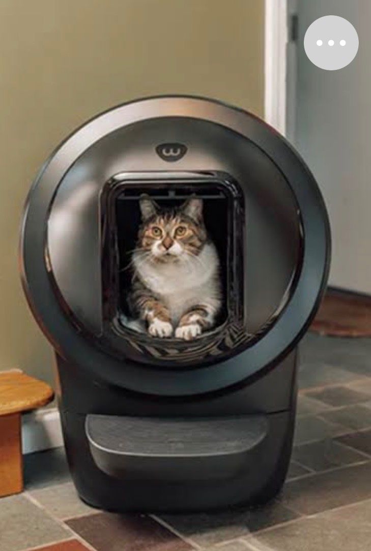 WC: Whisker Litter Robot 4 Katzentoilette - klo selbstreinigend – Usato da Meinisberg venduto da L.A1 6