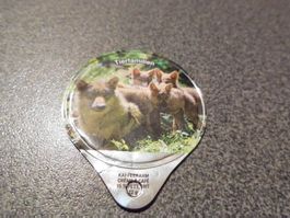 Kaffeerahmdeckel Tierfamilien