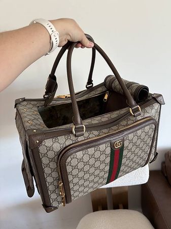 Gucci Hunde-Katzentasche neuwertig