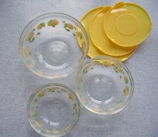3-tlg. Set: Glas Schüssel, Schüssel Glas, Deckel: Kunststoff