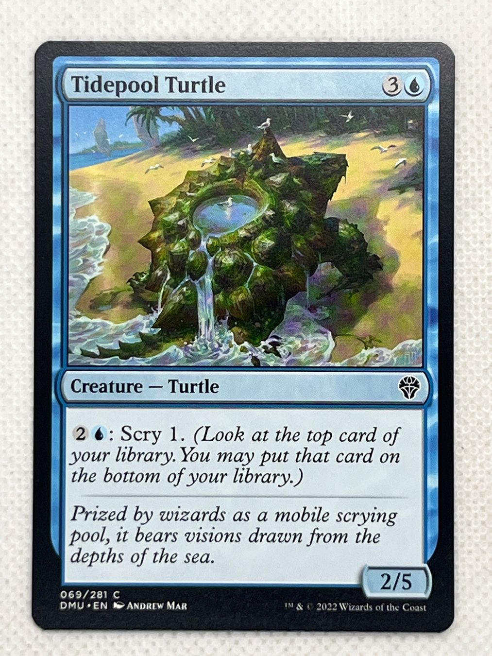 Magic The Gathering Carte collezionabili: Magic The Gathering Tidepool Turtle DMU 069/281 C – Usato da Hinterkappelen venduto da Kim1992