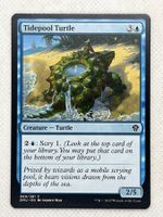 Magic The Gathering Tidepool Turtle DMU 069/281 C