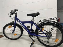 Velo 20zoll