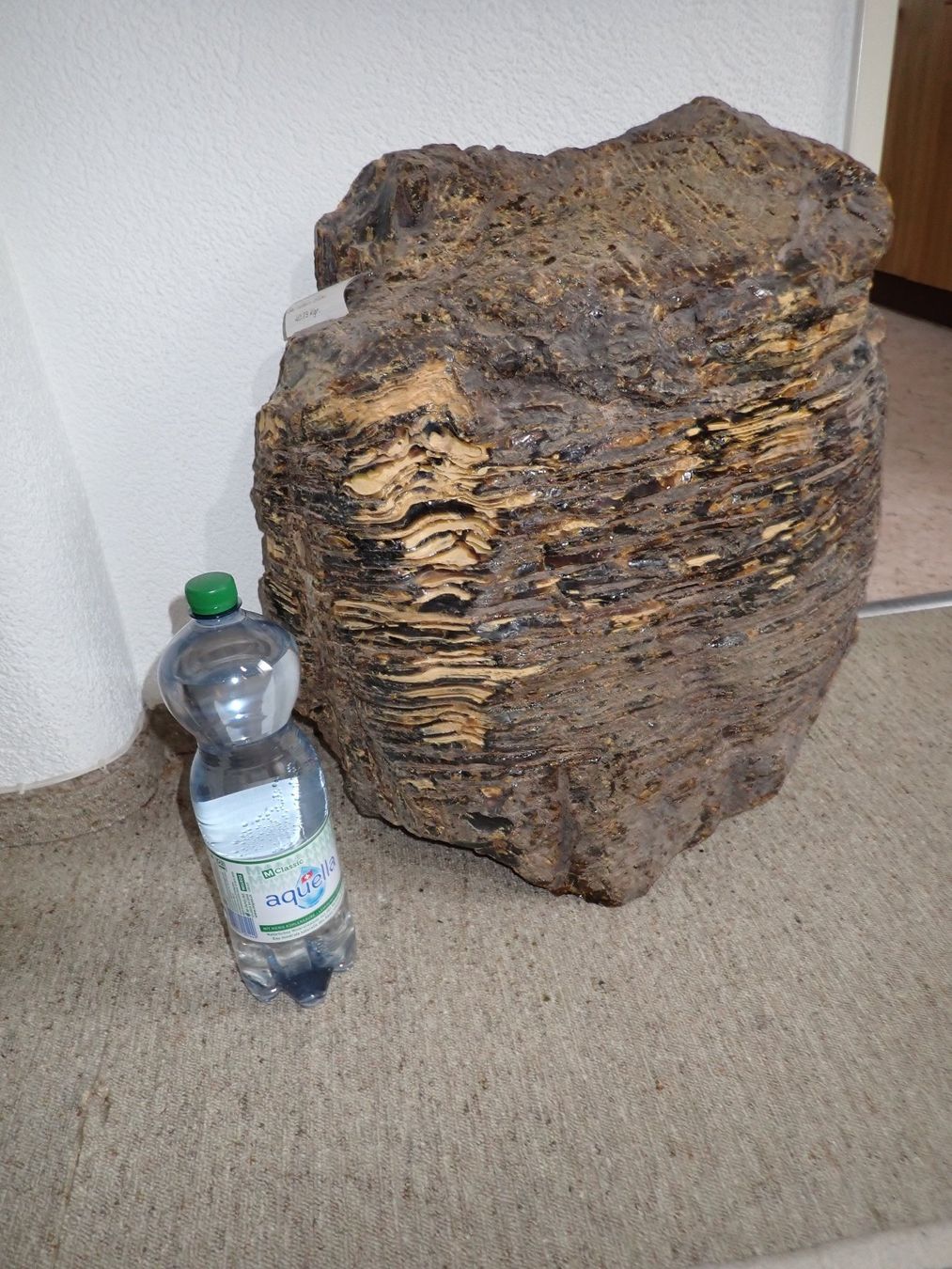 Fossili: Bernstein GIGANT 40 KG  Indonesien – Usato da Wallisellen venduto da Mf1000