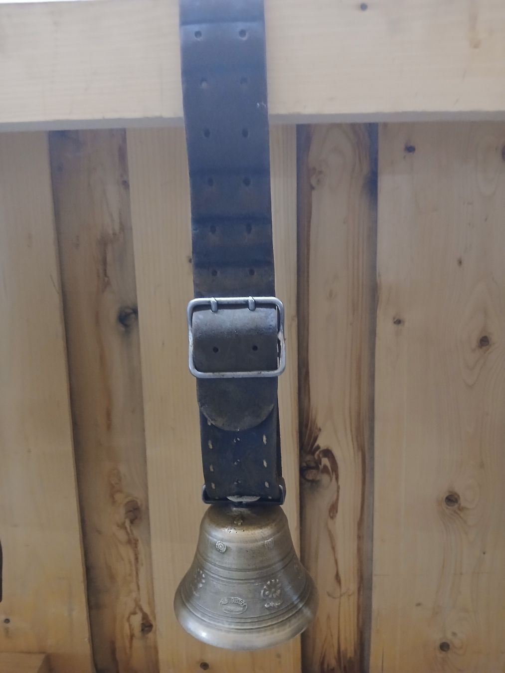Campanacci mucche: 2 Glöggli / 1Treicheli – Usato da Guggisberg venduto da dur-gug 5