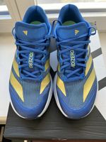 Adidas Adizero Boston 13 Herren-Gr.45 1/3–sehr guter Zustand