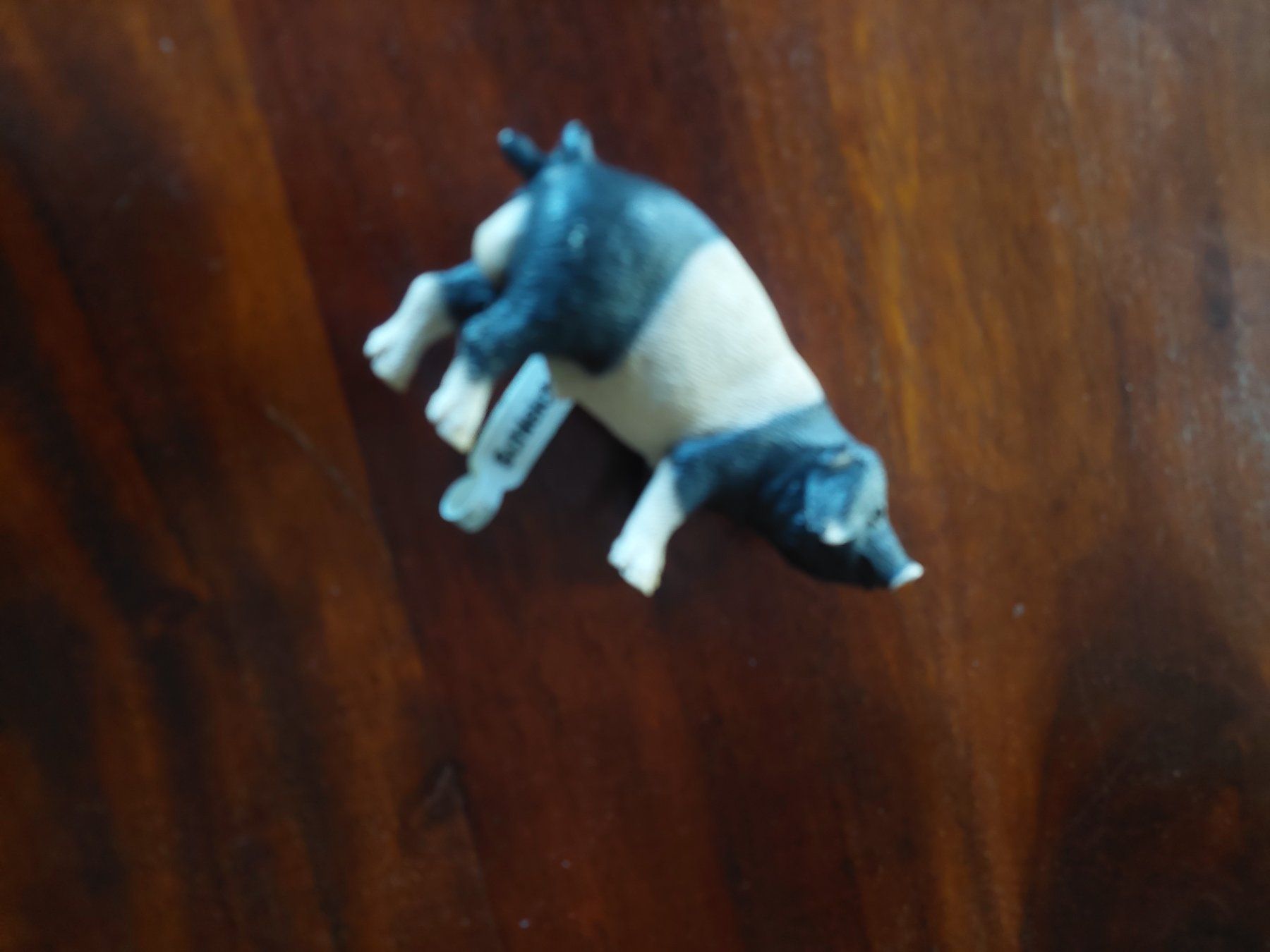 Schleich Spielzeuge: Schleich Schwein – Neu und originalverpackt aus Beckenried von Havacola 1