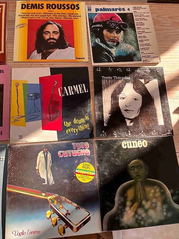 Dischi in vinile: Disques vinyls 33 tours – Usato da Ferreyres venduto da Alex_Andro 2