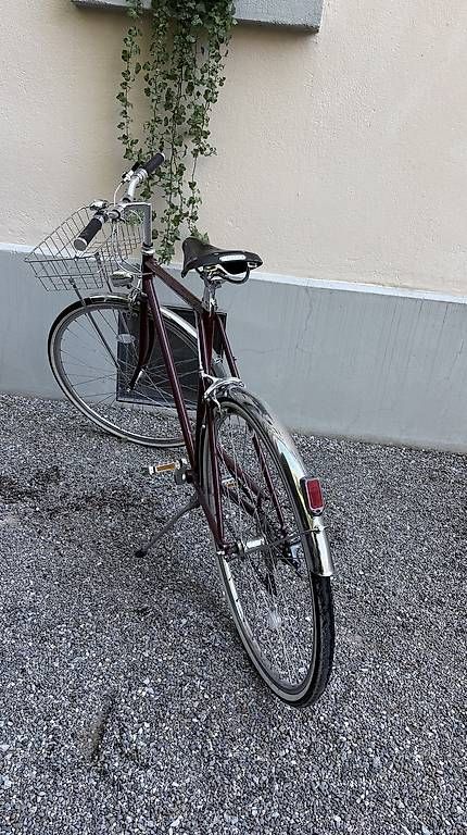 Velos: Siech Velo – Gebraucht aus Zürich von Ilmarin 4
