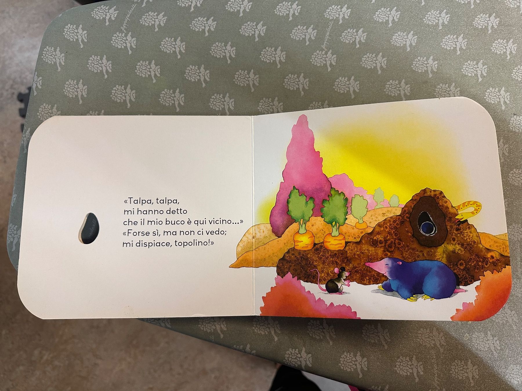 Libri: Set di libri per bambini – Usato da Zürich venduto da the_2lsz 4