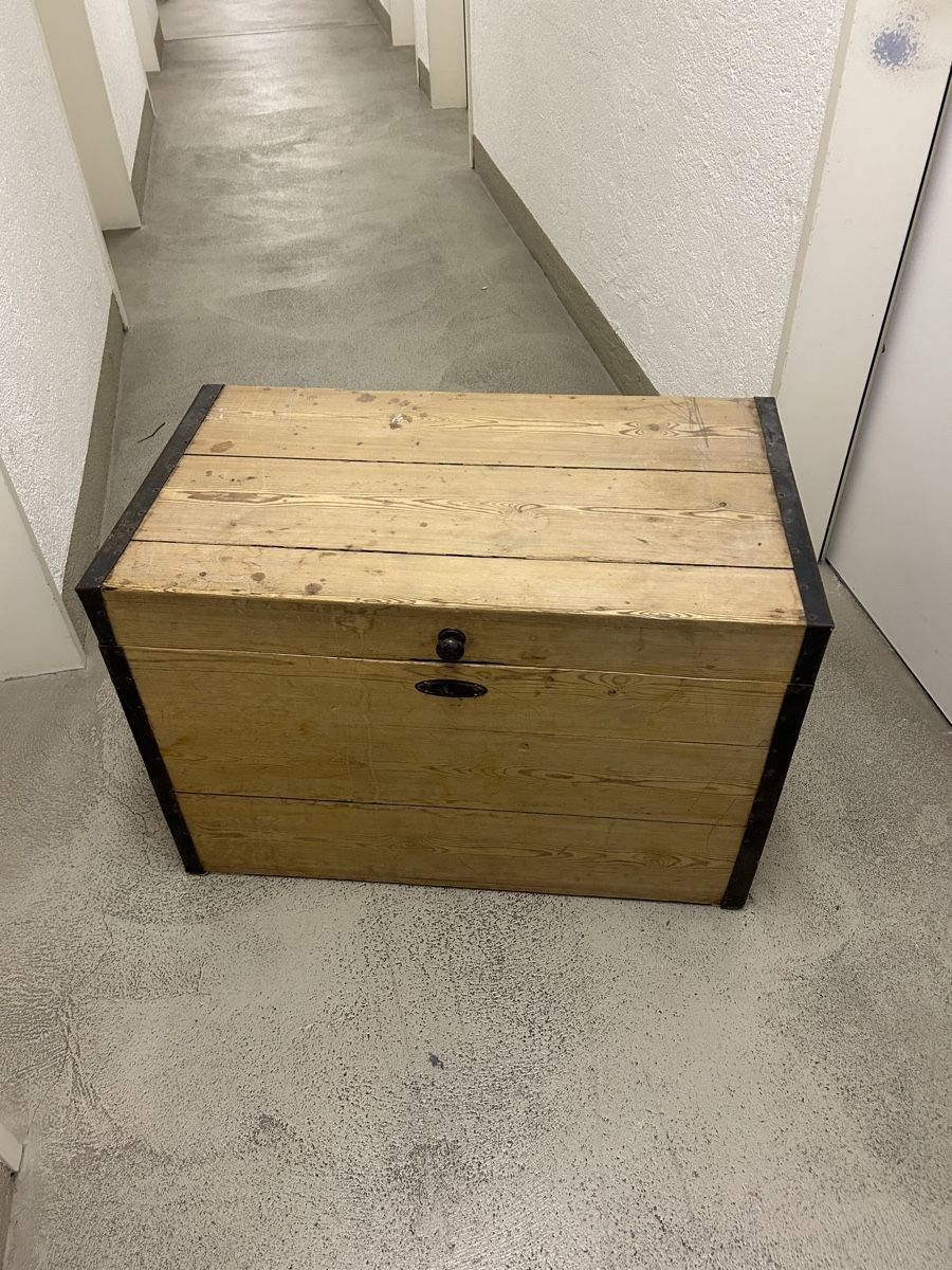 Cassapanche: Truhe Antik – Usato da Zürich venduto da Nick345 4