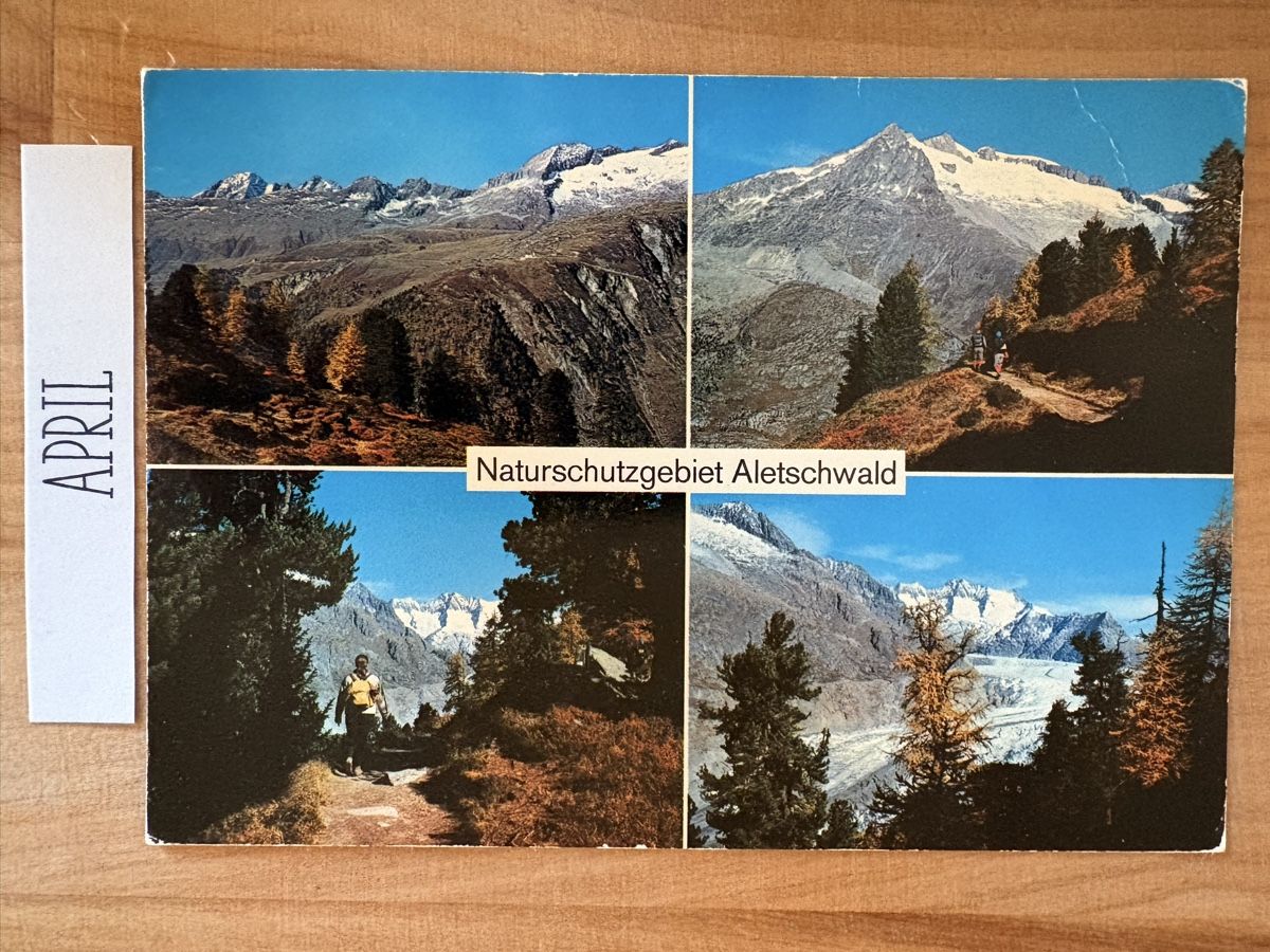 Cartoline postali: AK von Aletschwald – Usato da Rümlang venduto da Kartenpost1