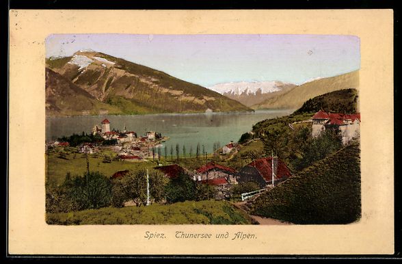 Cartoline postali: AK Spiez, Thunersee und Alpen – Usato da Berlin venduto da bartko-reher