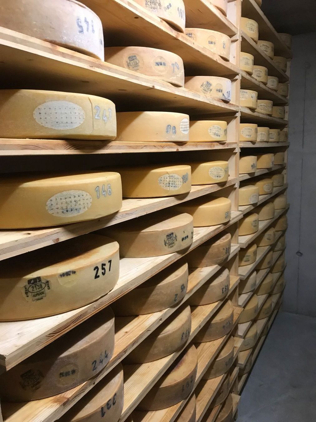 Lebensmittel & Spezialitäten: Berner Alpkäse AOP 2025 – Neu und originalverpackt aus Hasliberg-Goldern von flowerbauer74 2