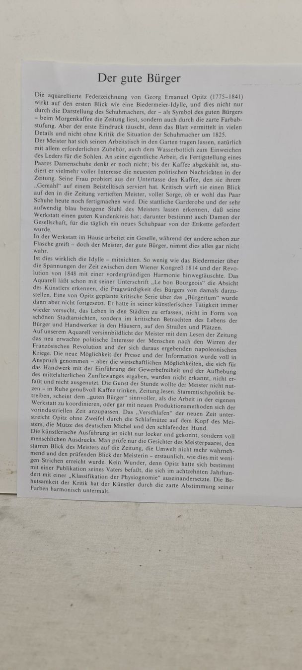 Grafica & Litografie: Der Schuh in der Karikatur, Lithographie – Usato da Sins venduto da sagitarius58 3