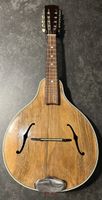 Mandoline Holz 8 Saiten ab Fr. 1.-