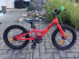 FLiZZi 16 Riemen