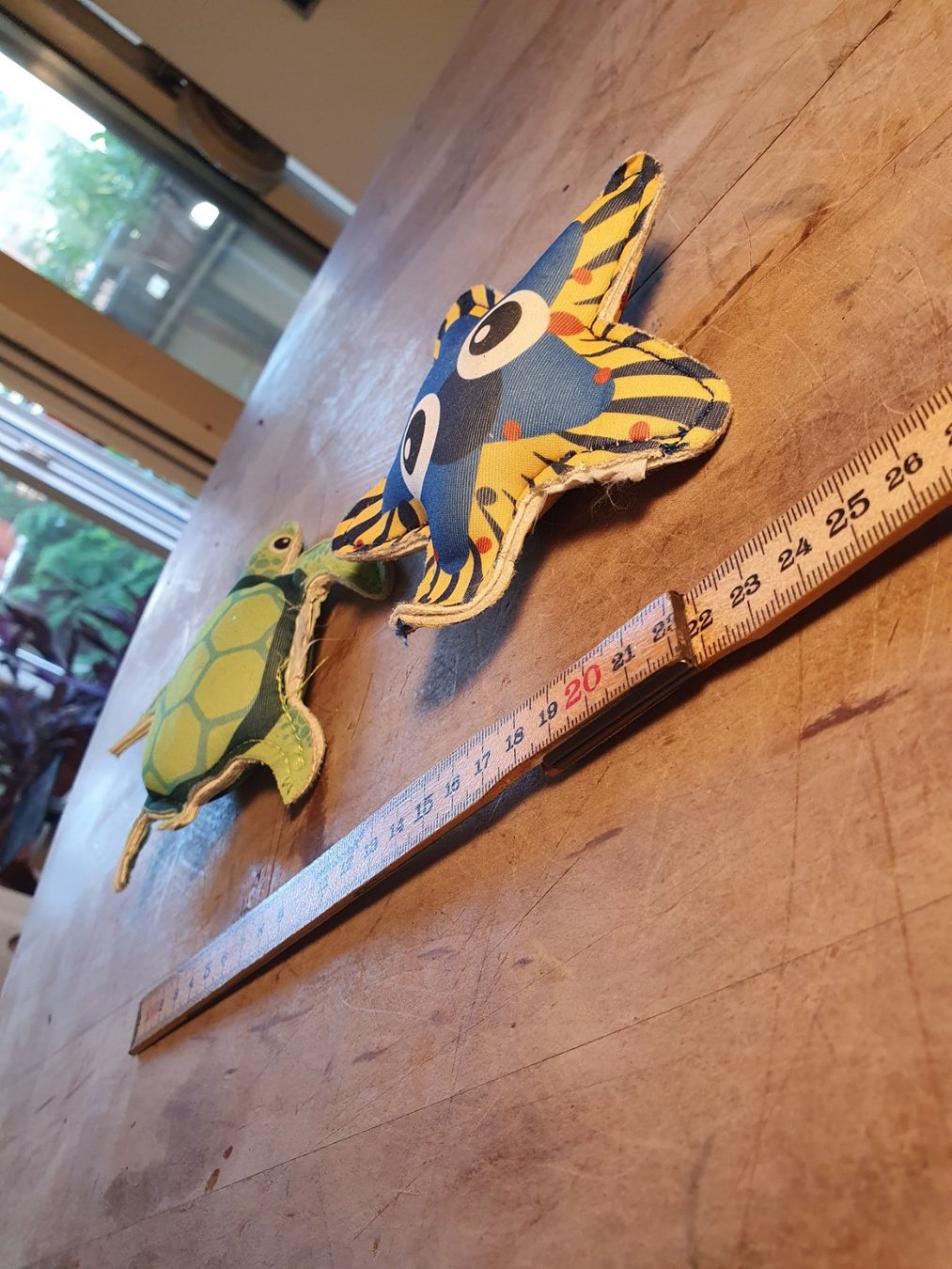 Spielzeuge: Wasserspielzeug Schildkröte + Seestern – Gebraucht aus Zürich von loosebone 3