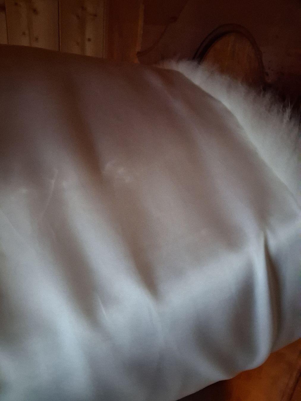 Foulards, Tücher & Schals: Pelzstola zu Brautkleid – Neu (gemäss Beschreibung) aus Ruschein von ecf_268w 1