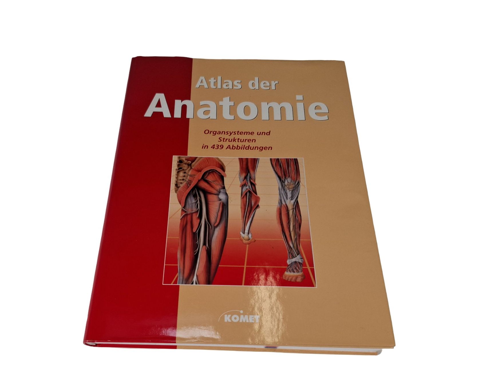 Libri: KOMET Atlas der Anatomie – Usato da Wil SG venduto da Restwert_Wil
