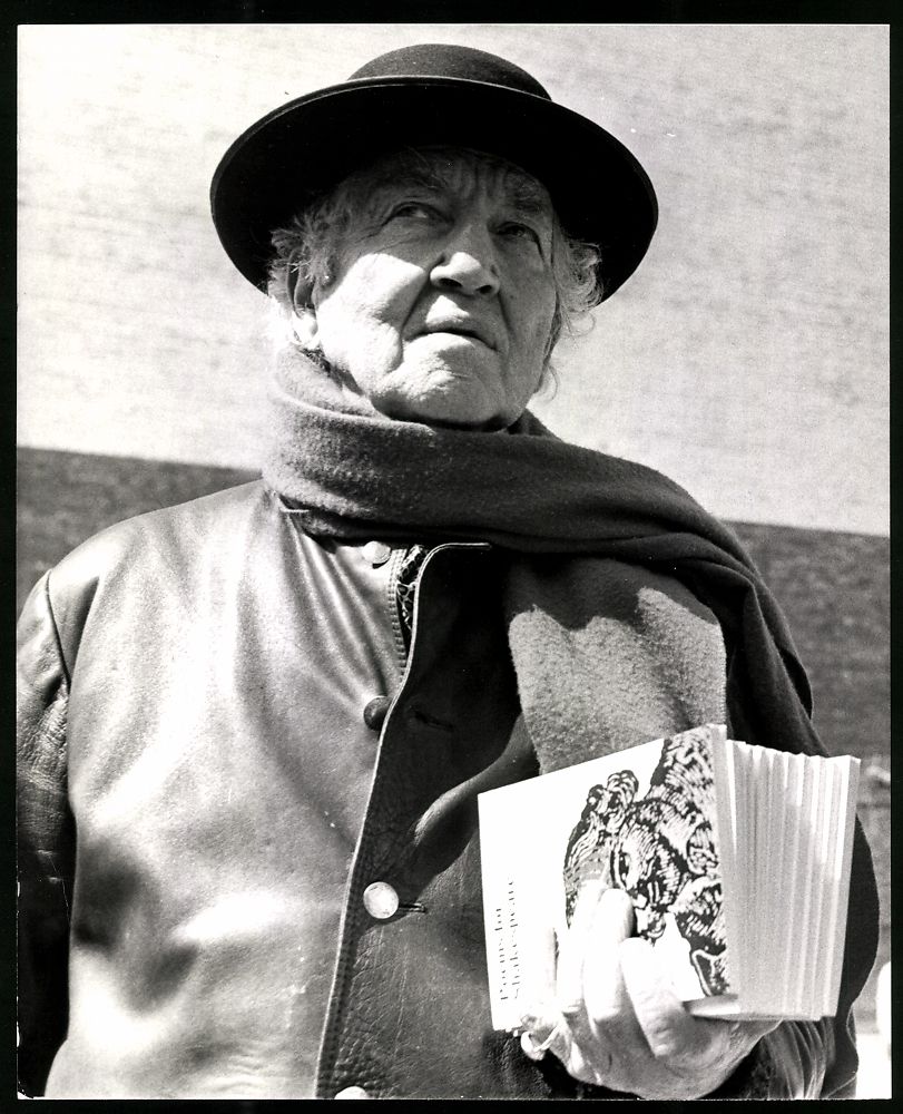 Fotografie & Manifesti: Fotografie britischer Schriftsteller Rob – Usato da Berlin venduto da bartko-reher