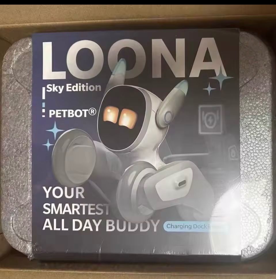 Giocattoli: Loona smart Toy Robot Einzelstück neue Version Chat GPT – Usato da Grenchen venduto da Jimbo3743 7
