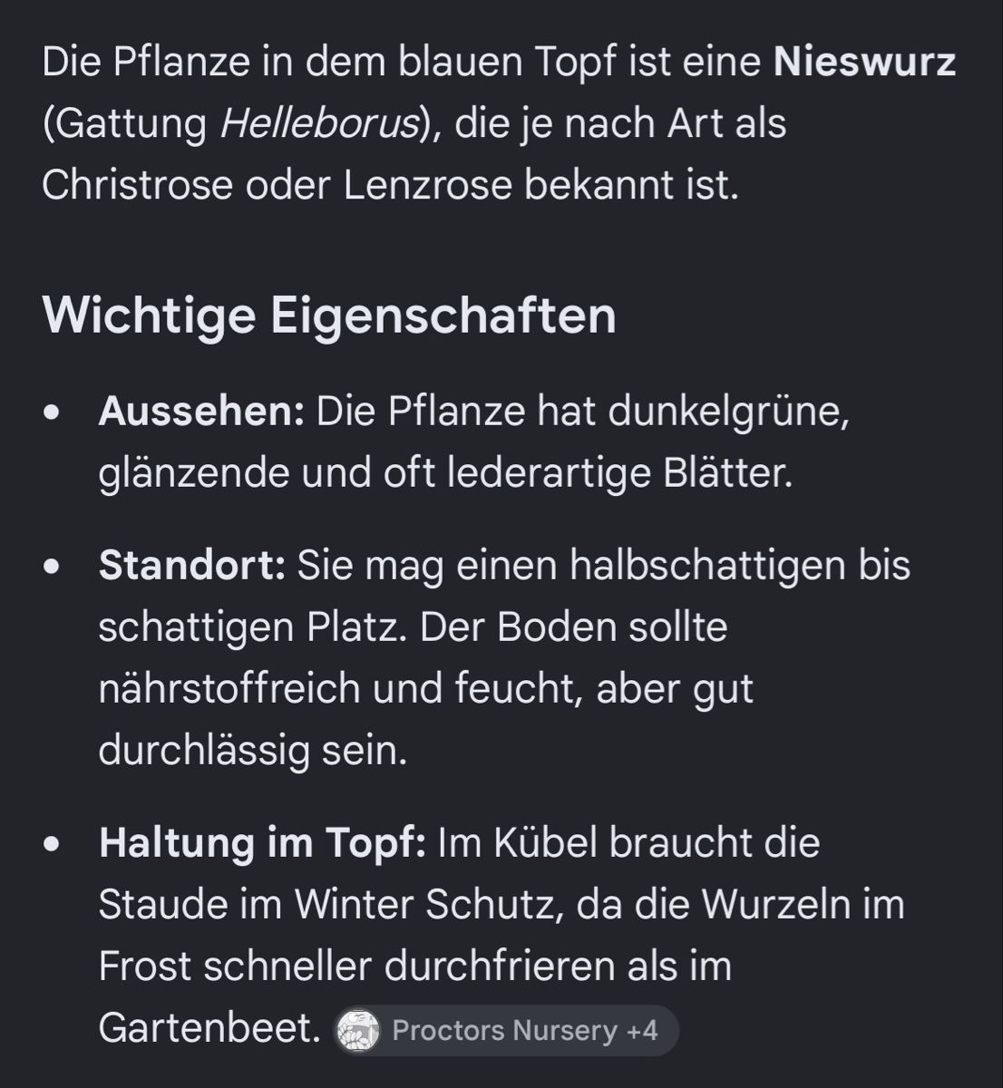 Blumentöpfe: Pflanze in Blauem Topf – Gebraucht aus Perlen von Chregle1 1