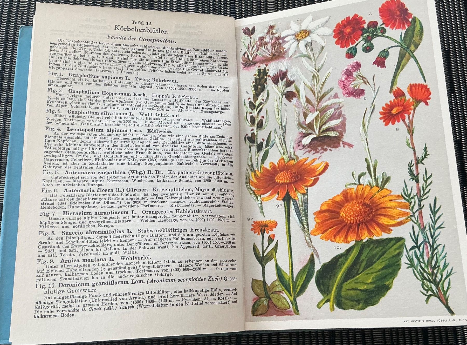 Bücher: Alpen-Flora - Prof. E. Schröter, 207 kol. Abbildungen, 1940 – Gebraucht aus Crans-Montana von plainemorte 7