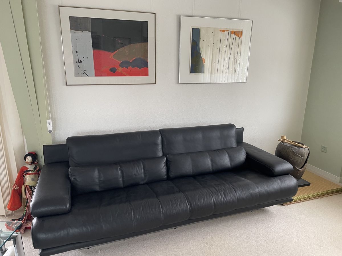 Divani: Sofa Rolf Benz 3er 6500 – Usato da Schmitten FR venduto da Parnold99