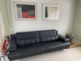 Sofa Rolf Benz 3er 6500