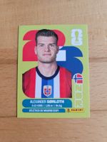 Panini WM 2026 NOR 16