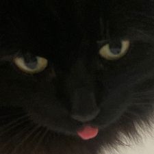 Profile image of ale_bbx6