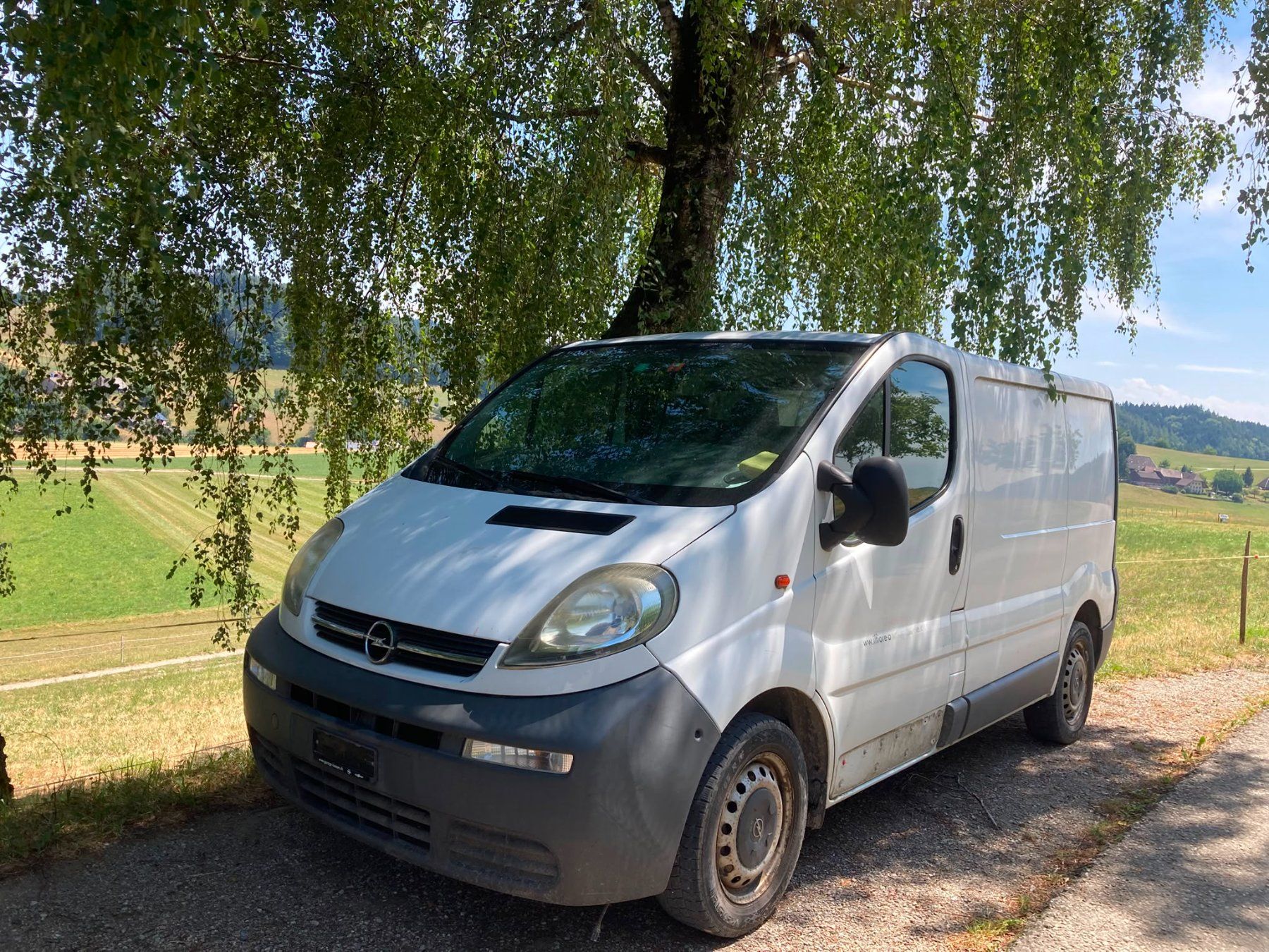 Opel Veicoli commerciali: Opel Vivaro 1.9 TD – Usato da Gondiswil venduto da Adrian811