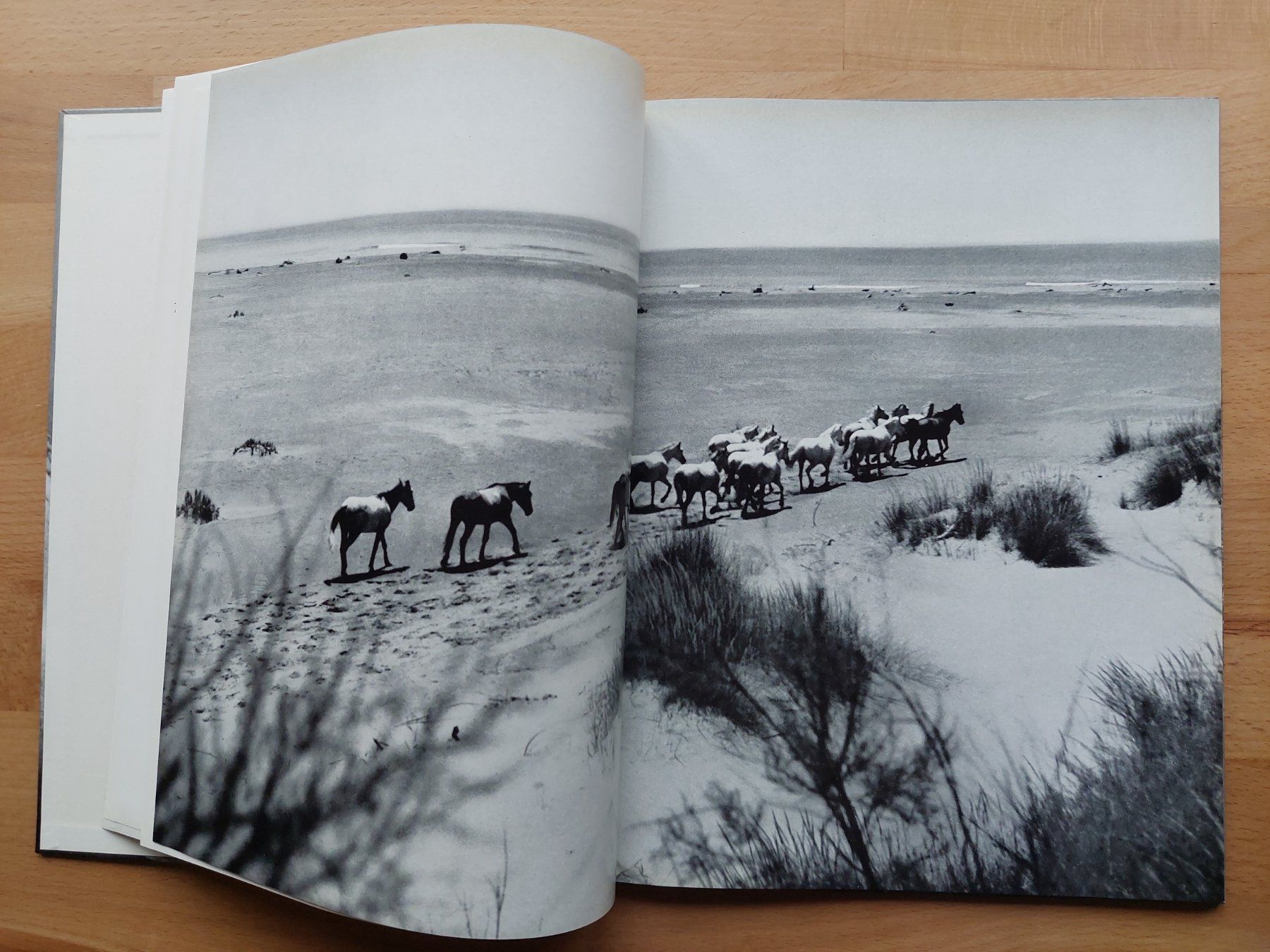 Livres: Der weisse Hengst - Albert Lamorisse – D'occasion à Obfelden par Foto_Bild_Kunst_Buch 3