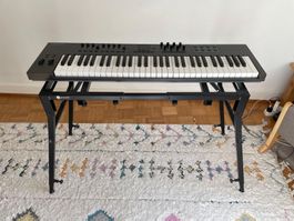 Impact LX61+ Midi Keyboard ohne ständer
