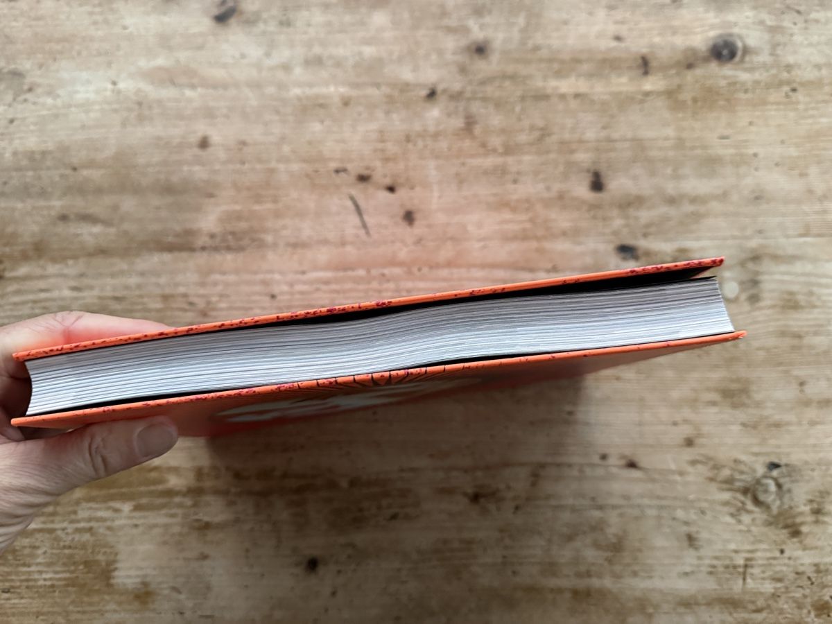 Libri: Shanghight Love Hate Punk, Bildband – Usato da Ennetbaden venduto da mapa05 2
