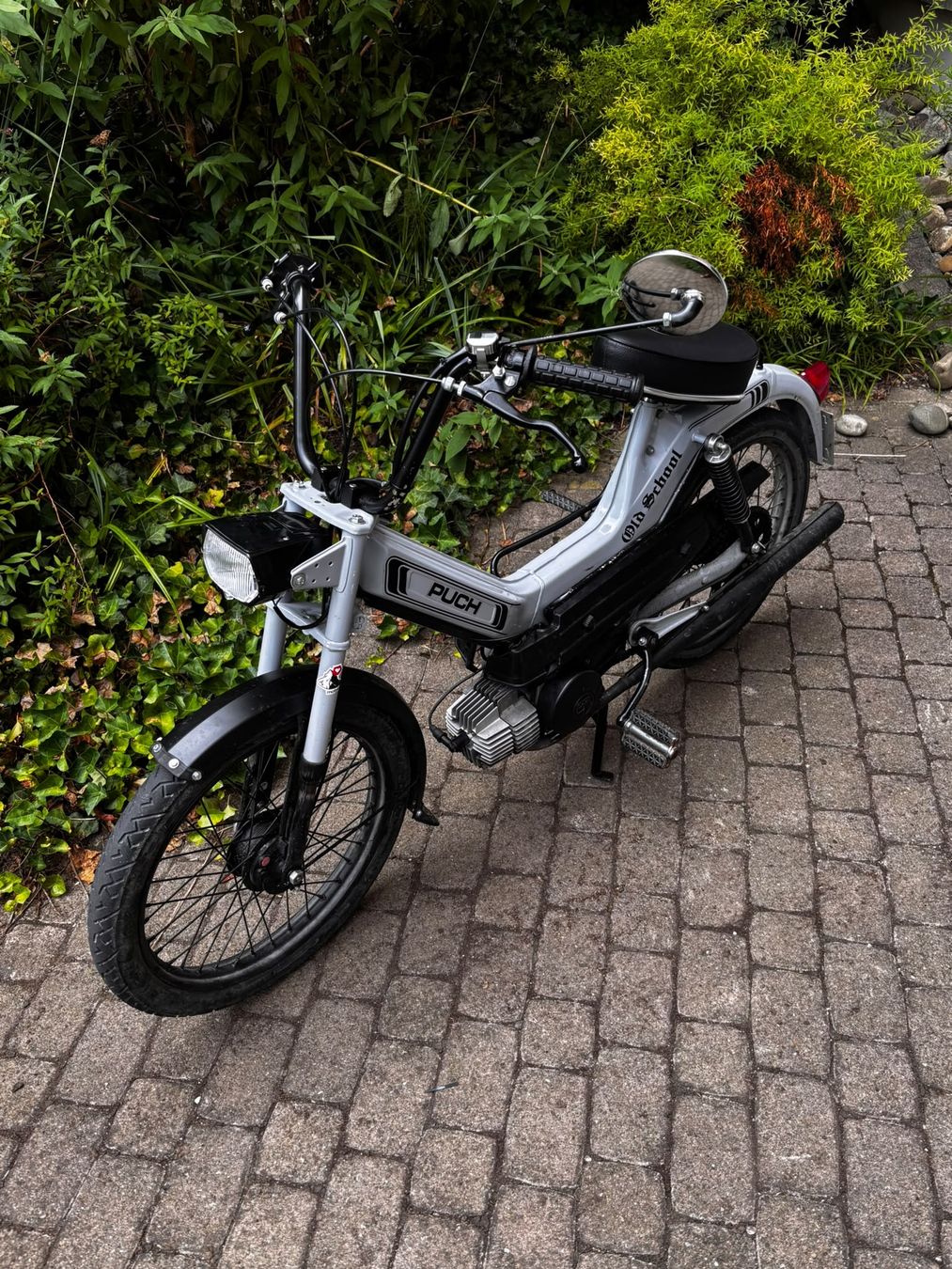Puch Mofas: Puch Maxi S  – Gebraucht aus romanshorn von laudi2 1