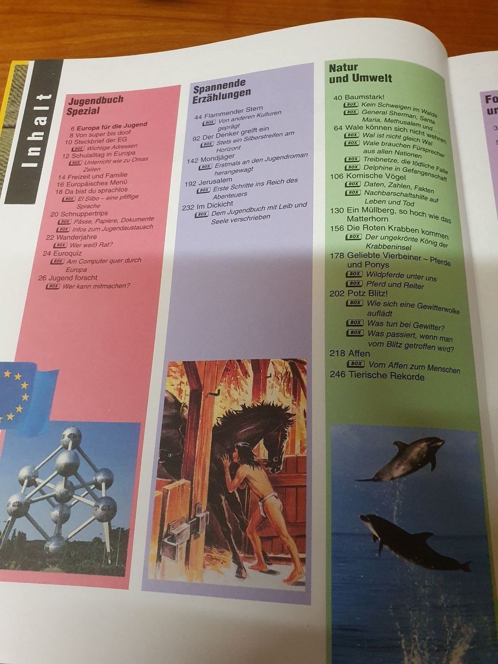 Libri: Das grosse Jugendbuch 34. Folge – Usato da Oberdorf BL venduto da BaldenEagle 1