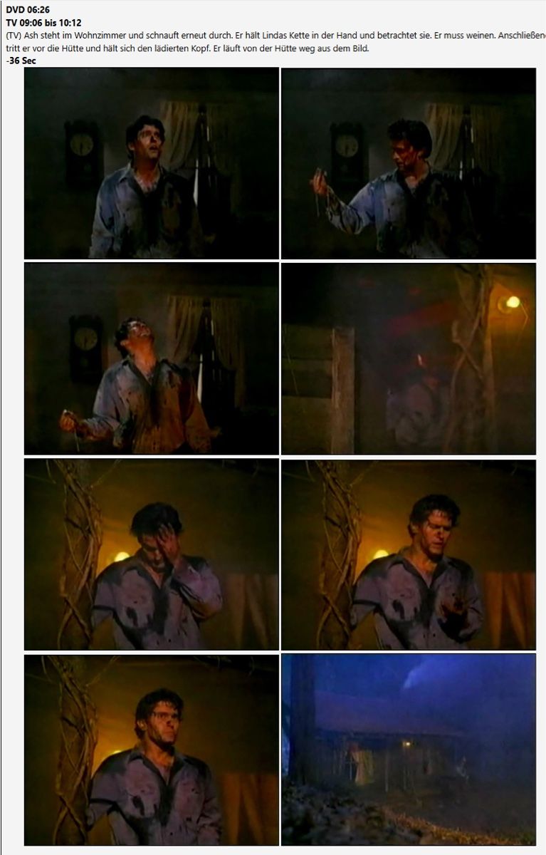 Tutti i DVDs: Seltene mexikanische TV-cut Version Horror Evil Dead  2 Dvd – Usato da Schlieren venduto da Moviepropde 5