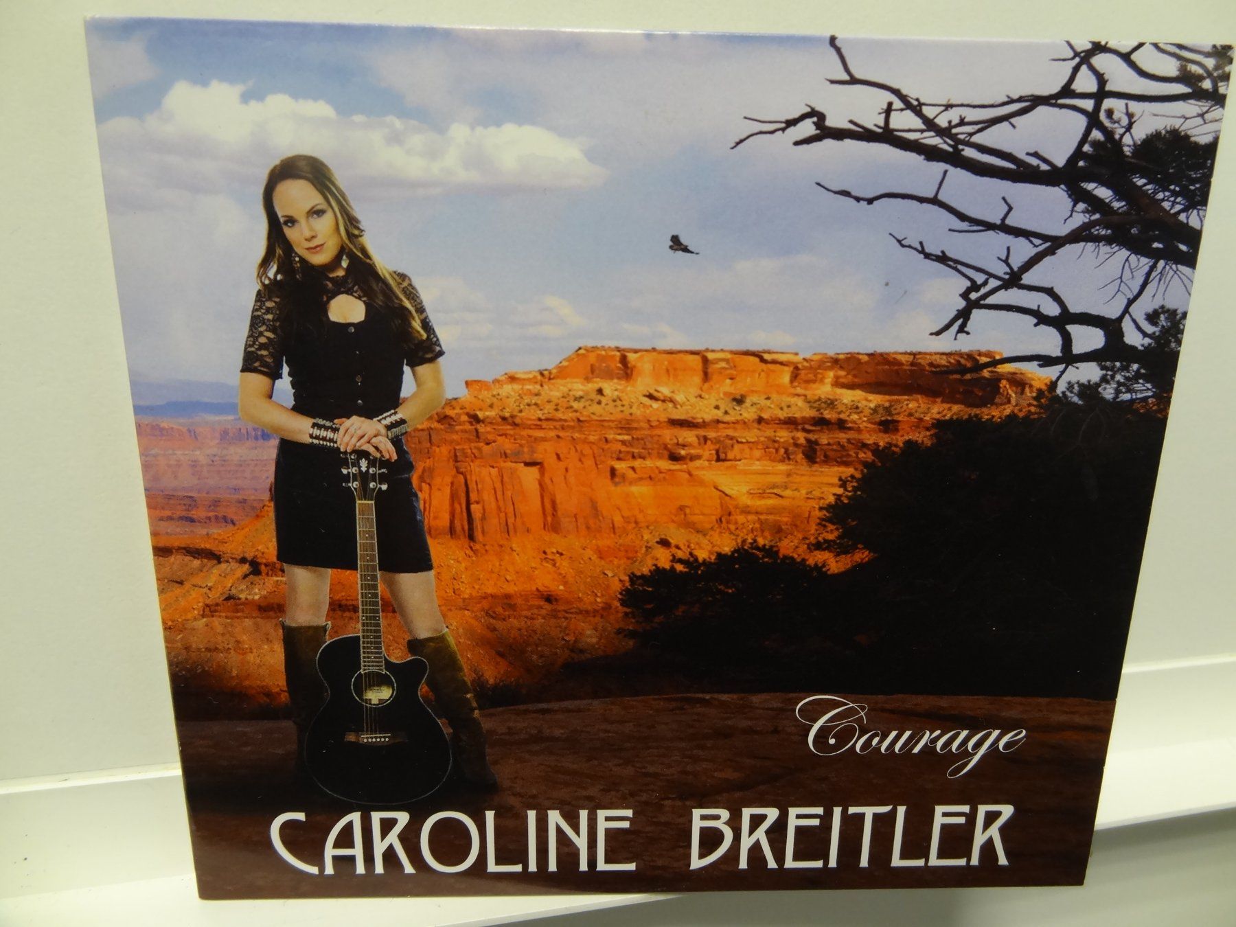 CD: Caroline Breitler - Courage (CD) – Usato da luzern venduto da musicandart
