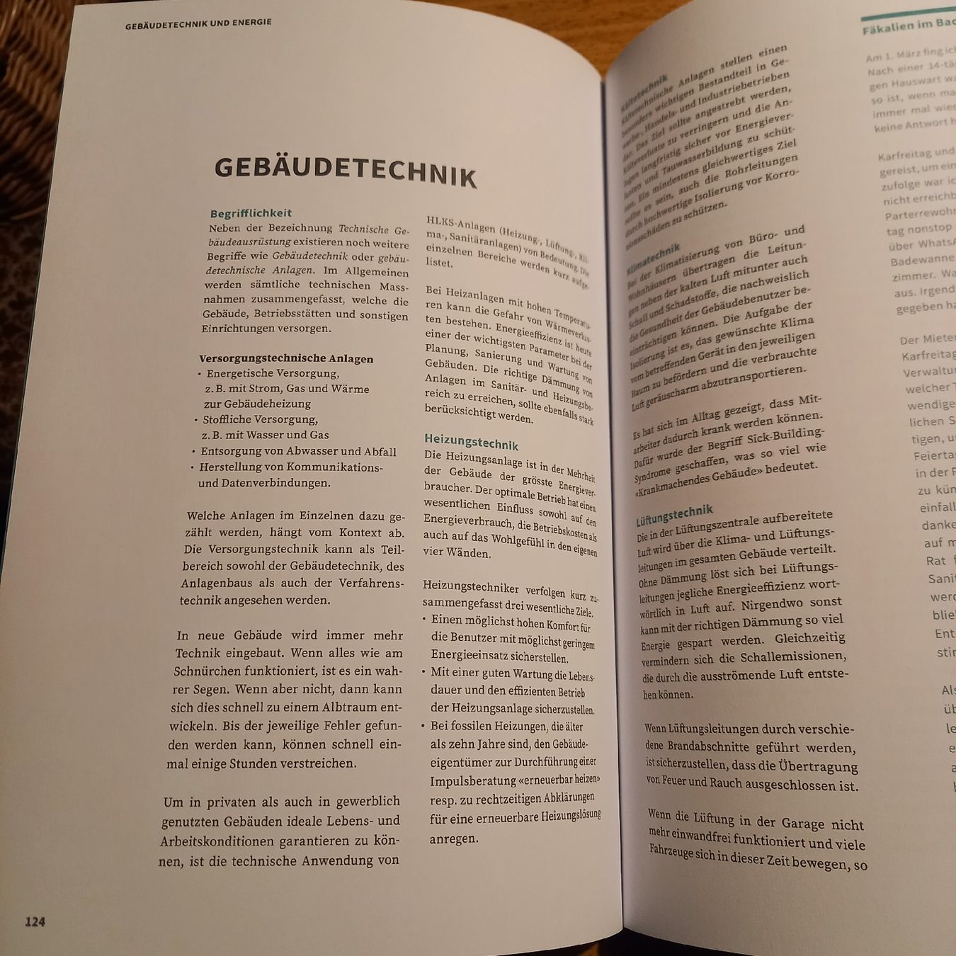 Libri: Berufsalltag eines erfolgreichreichen Hauswarts – Nuovo (secondo la descrizione) da Galgenen venduto da Allerlei8854 6