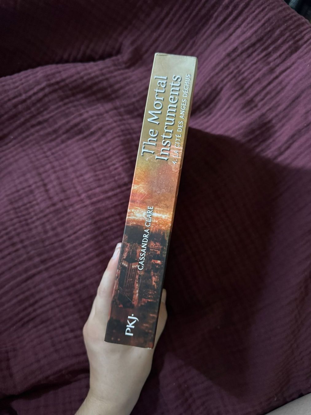 Livres: The Mortal Instruments - Tom 4 - Cassandra Clare – D'occasion à Genève par adrianito34 2