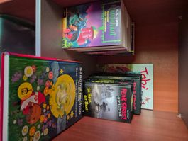 Grosses Kinder- und Jugendbuch-Paket – Gänsehaut, Fear Stree