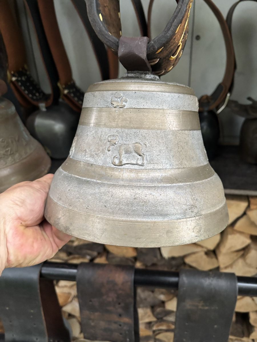 Campanacci mucche: Glocke Barinotto. – Usato da Schangnau venduto da Roseggli82 3