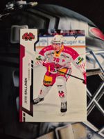 Jere Sallinen EHC Biel 2024/25 Sportzoo