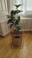 Goldener Blumentopf / Pflanzenständer mit Kunstpflanze