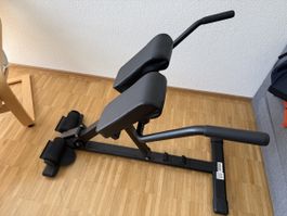 Rückentrainer Sportstech schwarz guter Zustand
