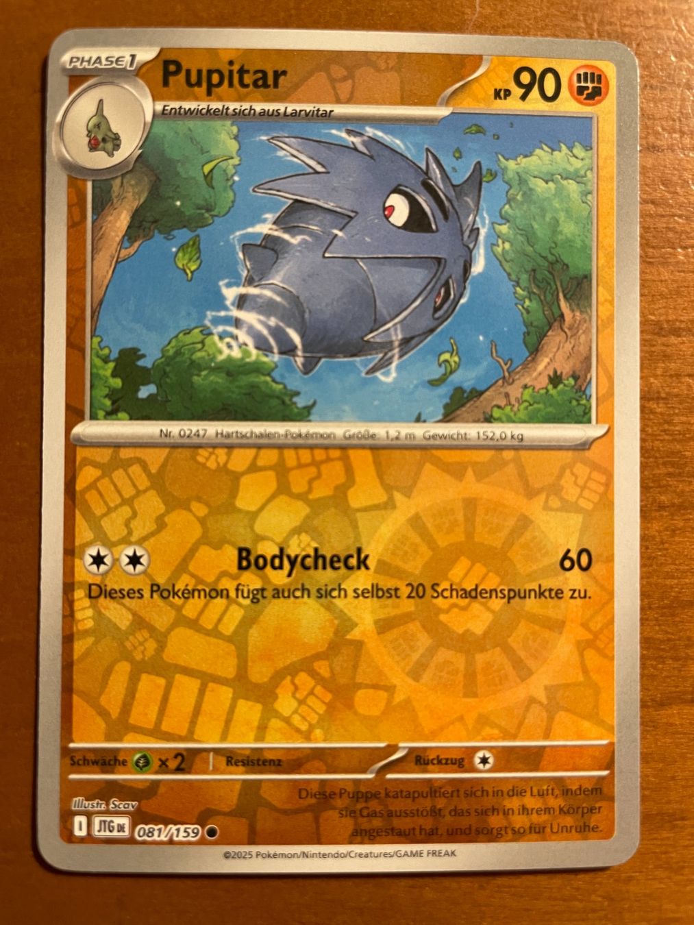 Pokémon Carte collezionabili: Pokemon Pupitar Reverse (Versand gratis) – Nuovo (secondo la descrizione) da Chur venduto da Angerson