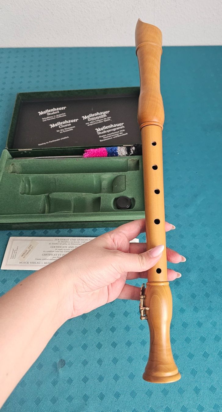 Strumenti musicali: ***Mollenhauer *** Blockflöte – Usato da Bronschhofen venduto da Xena37 2